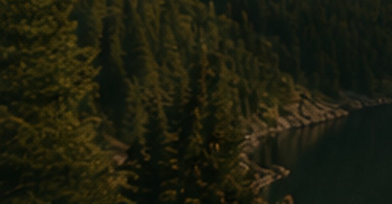 Pines above a still alpine lake